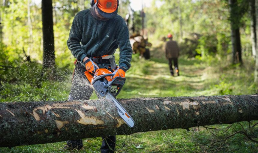 Husqvarna 550 XP Chainsaw Becoming Most Popular Professional Grade Option