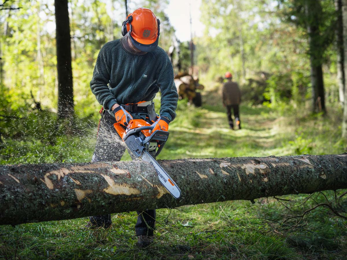 Husqvarna 550 XP Chainsaw Becoming Most Popular Professional Grade Option